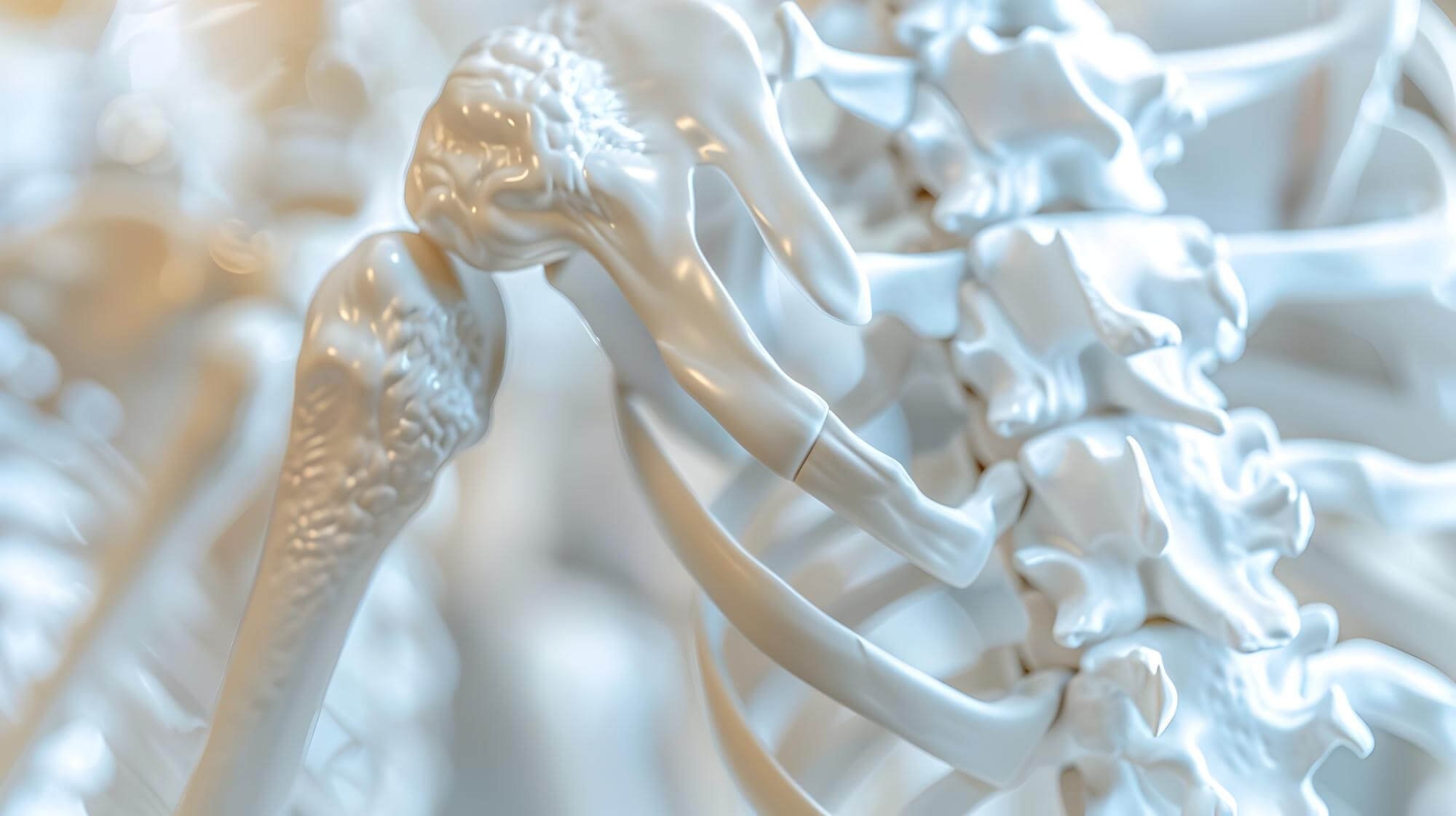 Understanding Bone Defects and Current Treatment Challenges